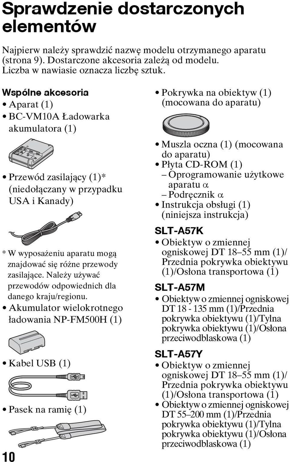 Wspólne akcesoria Aparat (1) BC-VM10A Ładowarka akumulatora (1) Przewód zasilający (1)* (niedołączany w przypadku USA i Kanady) * W wyposażeniu aparatu mogą znajdować się różne przewody zasilające.