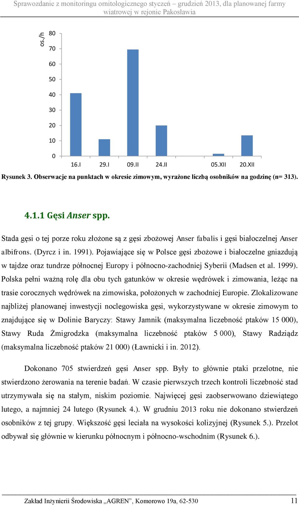 Stada gęsi o tej porze roku złożone są z gęsi zbożowej Anser fabalis i gęsi białoczelnej Anser albifrons. (Dyrcz i in. 1991).