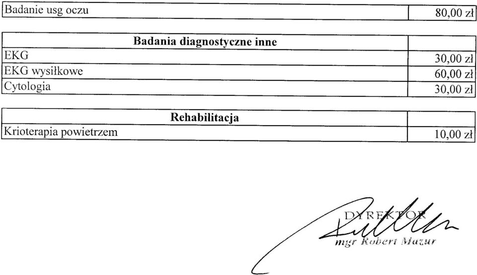 diagnostyczne inne 60,00 zł