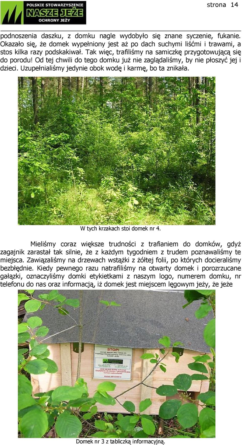W tych krzakach stoi domek nr 4. Mieliśmy coraz większe trudności z trafianiem do domków, gdyż zagajnik zarastał tak silnie, że z każdym tygodniem z trudem poznawaliśmy te miejsca.