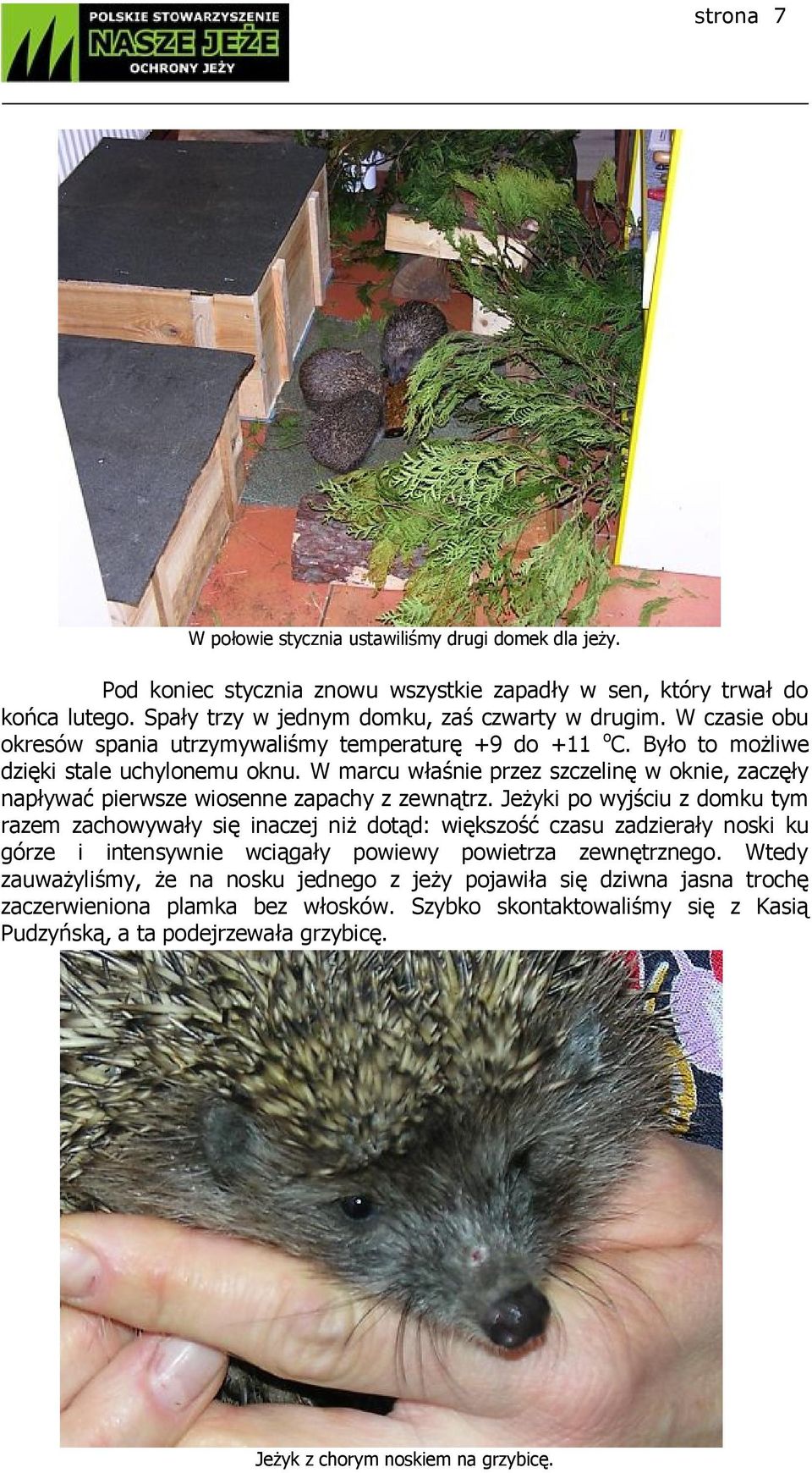 W marcu właśnie przez szczelinę w oknie, zaczęły napływać pierwsze wiosenne zapachy z zewnątrz.