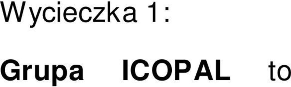 Z producenta pap i gontów papowych sta si dostawc nowoczesnych systemów zwi zanych z pokryciami dachowymi i kompleksow hydroizolacj cz ci podziemnych obiektów budowlanych.