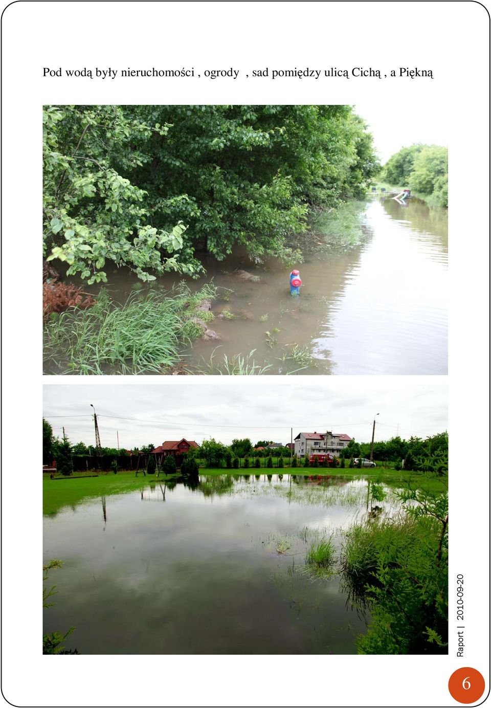 sad pomiędzy ulicą