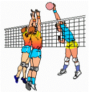 Fingasa Po powitaniu wszystkich zaproszonych szkół ogłoszono otwarcie imprezy sportowej Chłopcy, którzy reprezentowali naszą szkołę zajęli III miejsce, dziewczęta VI Spotkanie zakończyło się około