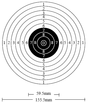 Zawodnicy strzelają ze stanowisk strzeleckich, które muszą mieć co najmniej 1 m szerokości. We wszystkich konkurencjach pistoletowych strzały do tarczy oddaje się z jednej ręki.