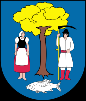 Starostwo Cieszyńskie, Starostwo Pszczyńskie, Miasto i Gmina Pszczyna, Miasto i