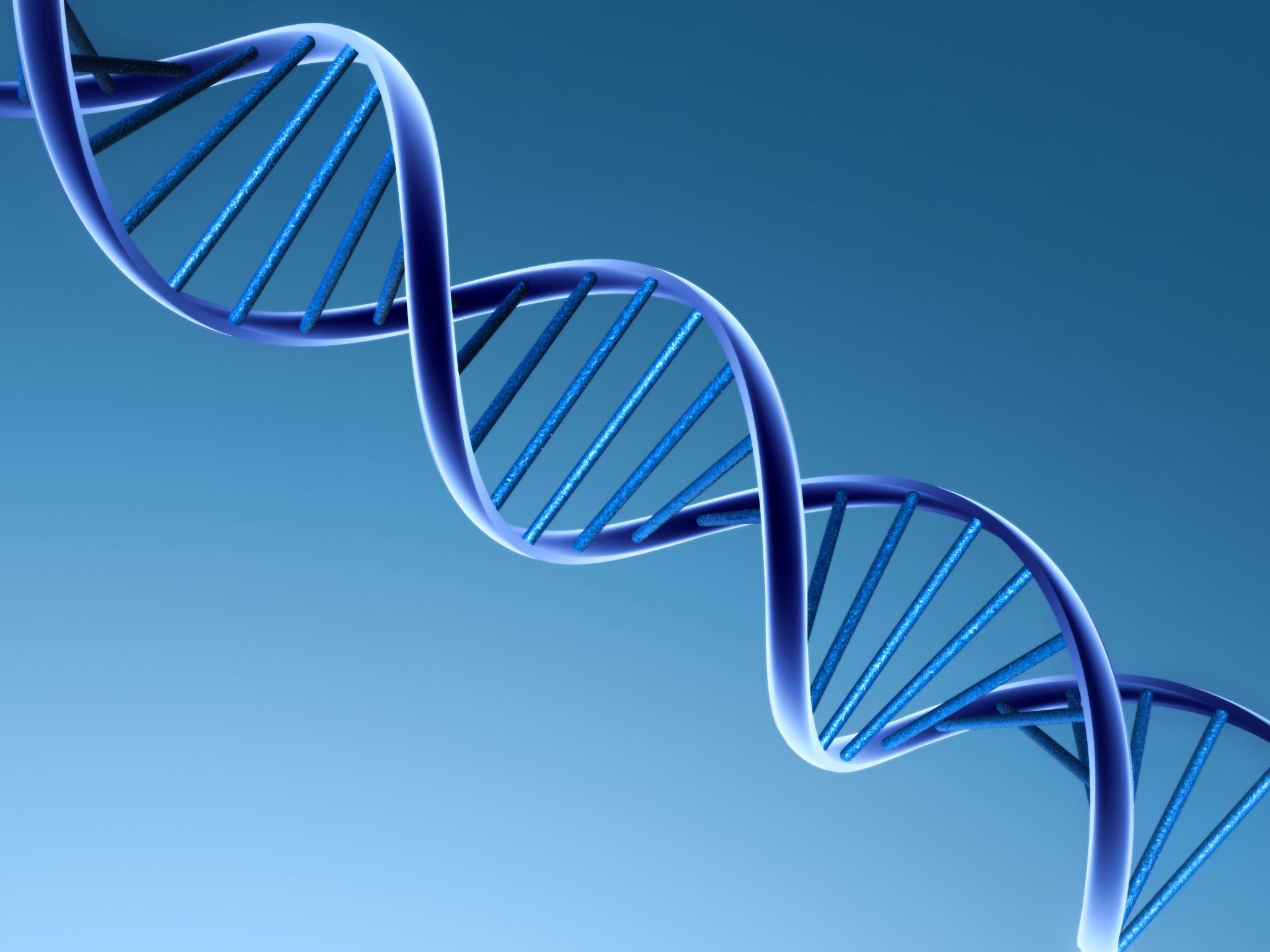 Architekt korporacyjny stara się zmienić DNA