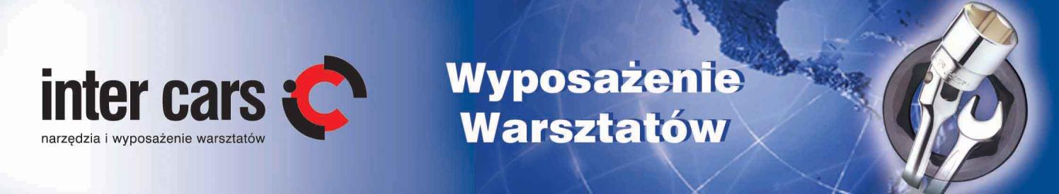 FUNKCJE CARMAN SCAN AT: CARMANSCAN AT wyposażony jest w wiele nowych funkcji diagnostycznych umożliwiających sprawną i dokładną diagnozę badanego pojazdu.