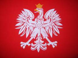 Publiczne Gimnazjum im. Jana Pawła II w Wodyniach WOLNA POLSKA listopad 2015, numer 1 W naszej szkole, jak co roku, obchodzimy kolejny raz Święto Niepodległości.