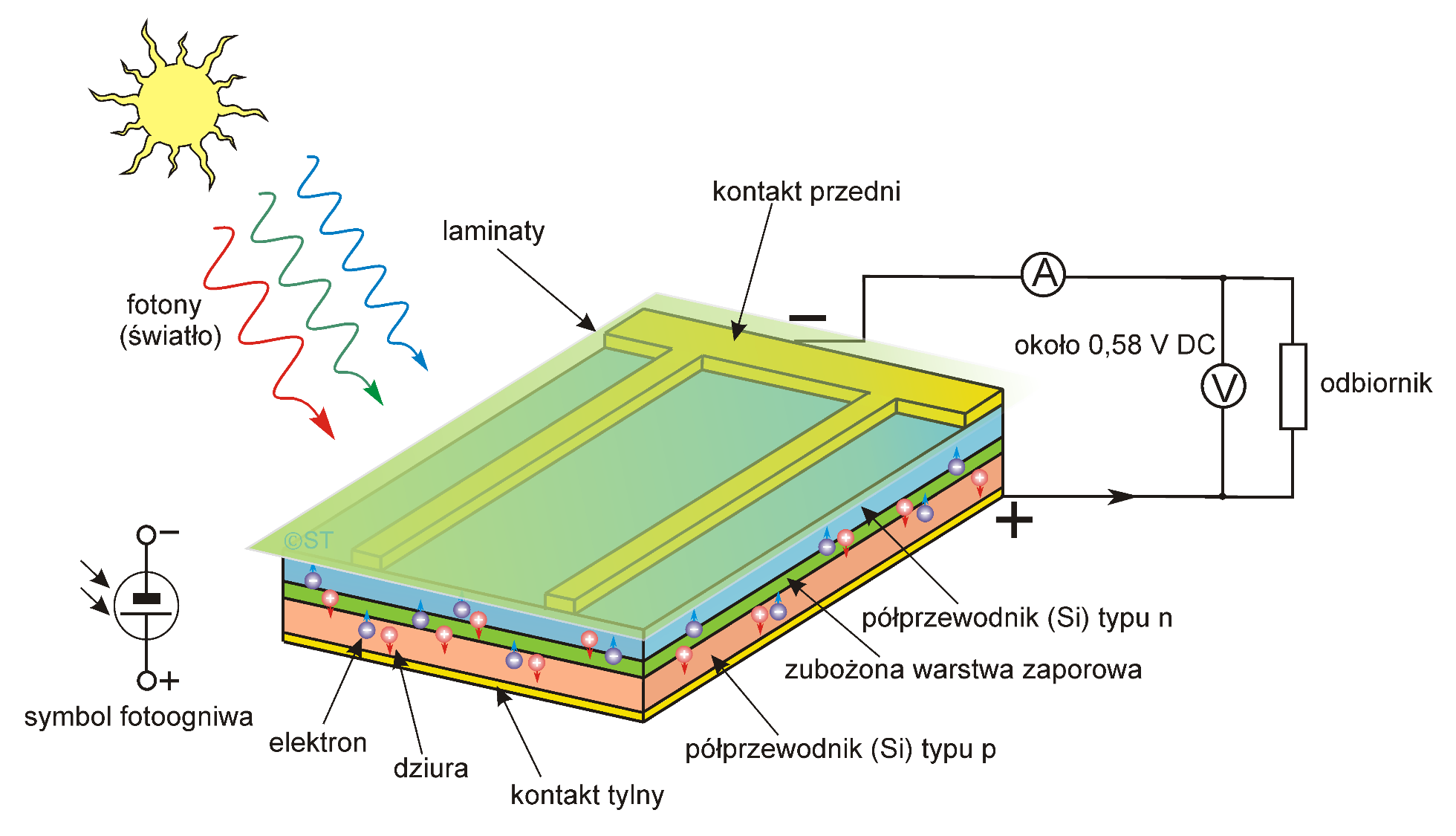 Ogniwo PV 1G Budowa i zasada