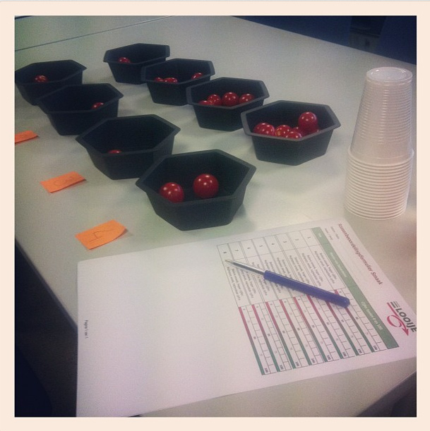 nieuwsbrief@looijetomaten.nl 07/12/2012 To właśnie Ty oceniasz nasze pomidory Door Cynthia Boekestijn podchodzić do tego rodzaju testów.