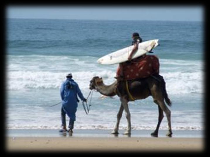 Spróbuj, a zawsze będziesz chciał wrócic na Saharę- udowodnione! Zobacz: http://www.youtube.com/watch?