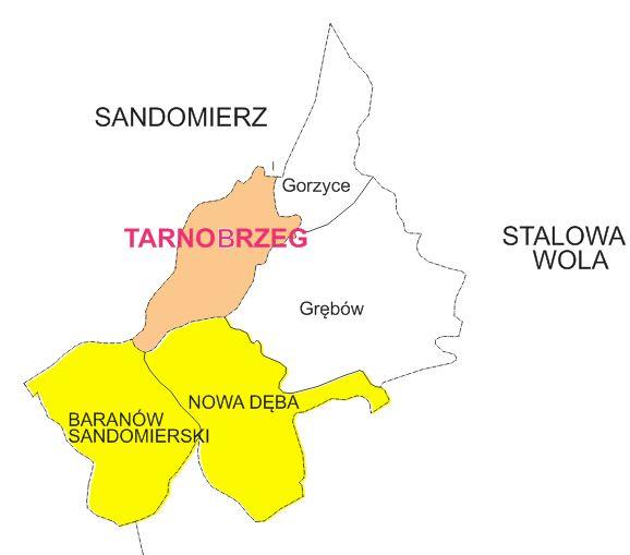 S t r o n a 60 Rysunek 31 Gminy TOF deklarujące udział w projekcie Rozwój instytucji kultury i zasobów dziedzictwa kulturowego TOF".