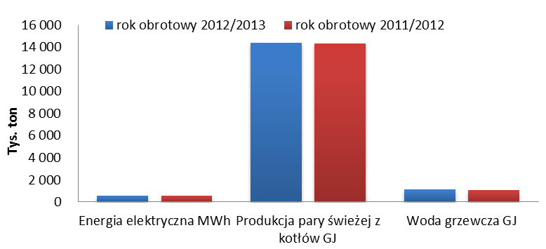 Segment Energetyka realizuje sprzedaż wyłącznie na rynek krajowy.