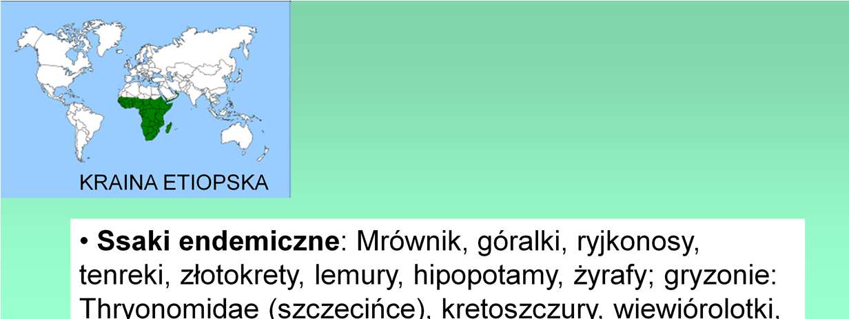 Dygresja: dla większości taksonów ssaków i ptaków wymyślono polskie nazwy