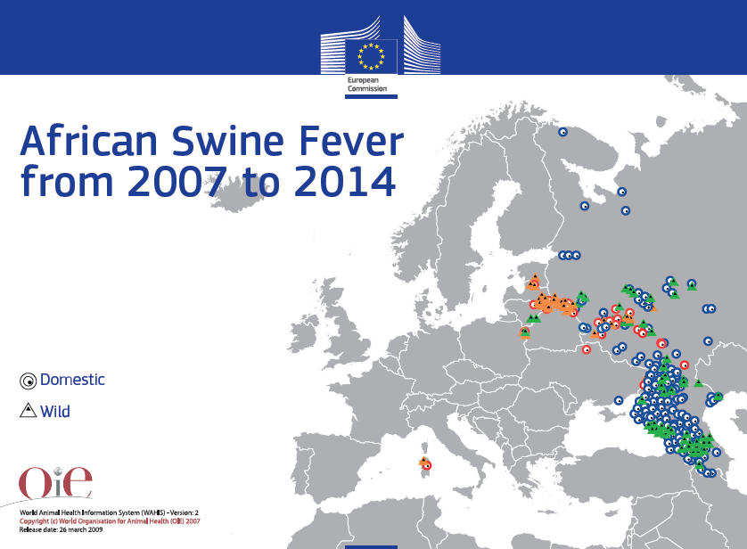 zakaźna i zaraźliwa choroba świń i dzików w 2007 r.