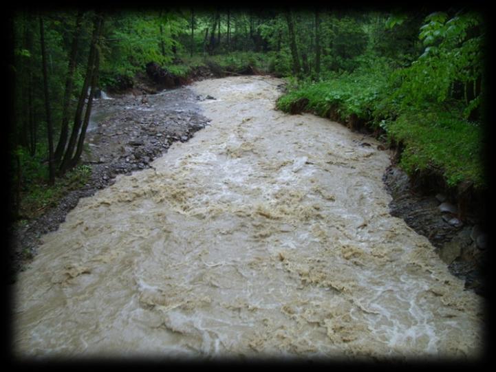 Zawoja (Rybny Potok) The flood area: No designated Flash flood in