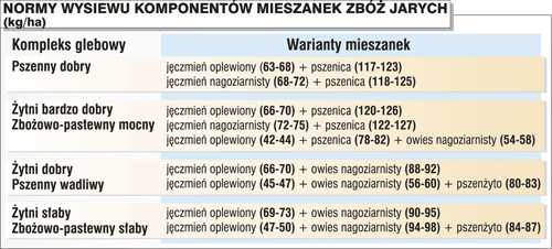 PszenŜyto jare K. Ŝytni bardzo dobry - 50 ziarniaków/m 2 K. Ŝytni dobry 500 ziarniaków/m 2 K.