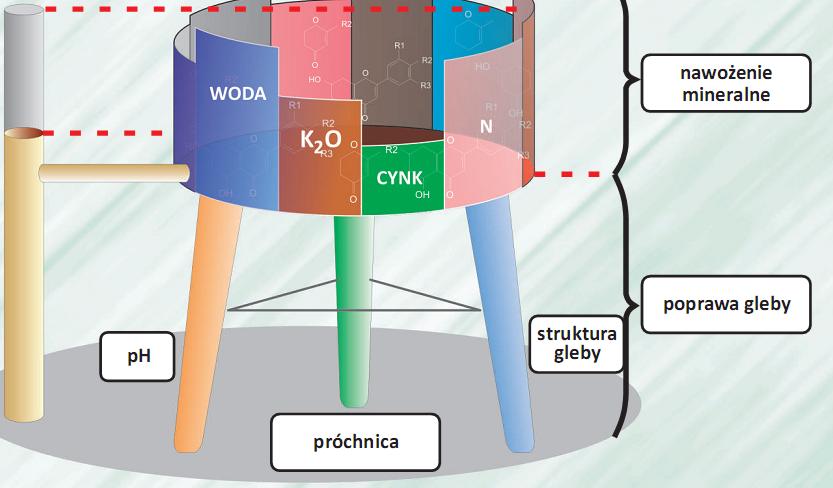 Odczyn gleby, zawartość próchnicy i