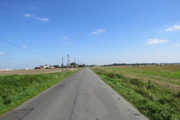9 Lokalizacja: dojazd do wsi Draliny, ul. Pawonkowska; dojazd do drogi Pawonków-Lisowice (DK 46), początek przy stawiku za Dralinami, koniec przy krzyżu po lewej stronie.