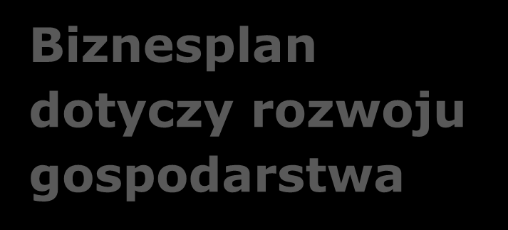 Biznesplan Załącznik niezbędny do weryfikacji wniosku Biznesplan przedstawia: Biznesplan dotyczy rozwoju