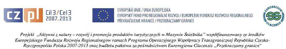 DG.272.8.2013.AS Stronie Śląskie, 2013-02-14 ZAPYTANIE OFERTOWE Gmina Stronie Śląskie zwraca się z prośbą o przedstawienie swojej oferty na wykonanie i dostawę materiałów promocyjnych.