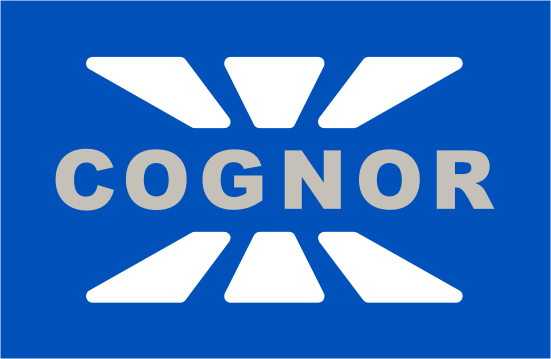 w formie wykresu prezentuje się następująco: GRUPA COGNOR PRODUKCJA POKRYĆ DACHOWYCH 77,4% COGNOR BLACHY DACHOWE NIERUCHOMOŚCI IT 100% BSS 30% 4GROUPS 51% COGNOR SK 100% 100,% 100% EMITENT