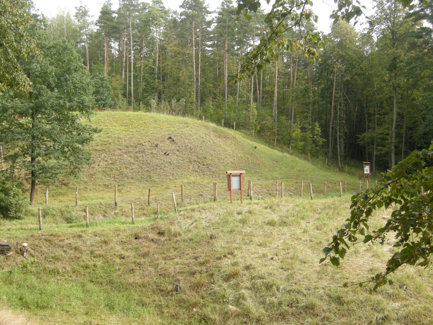 Rezerwat Kwidzyńskie Ostnice po
