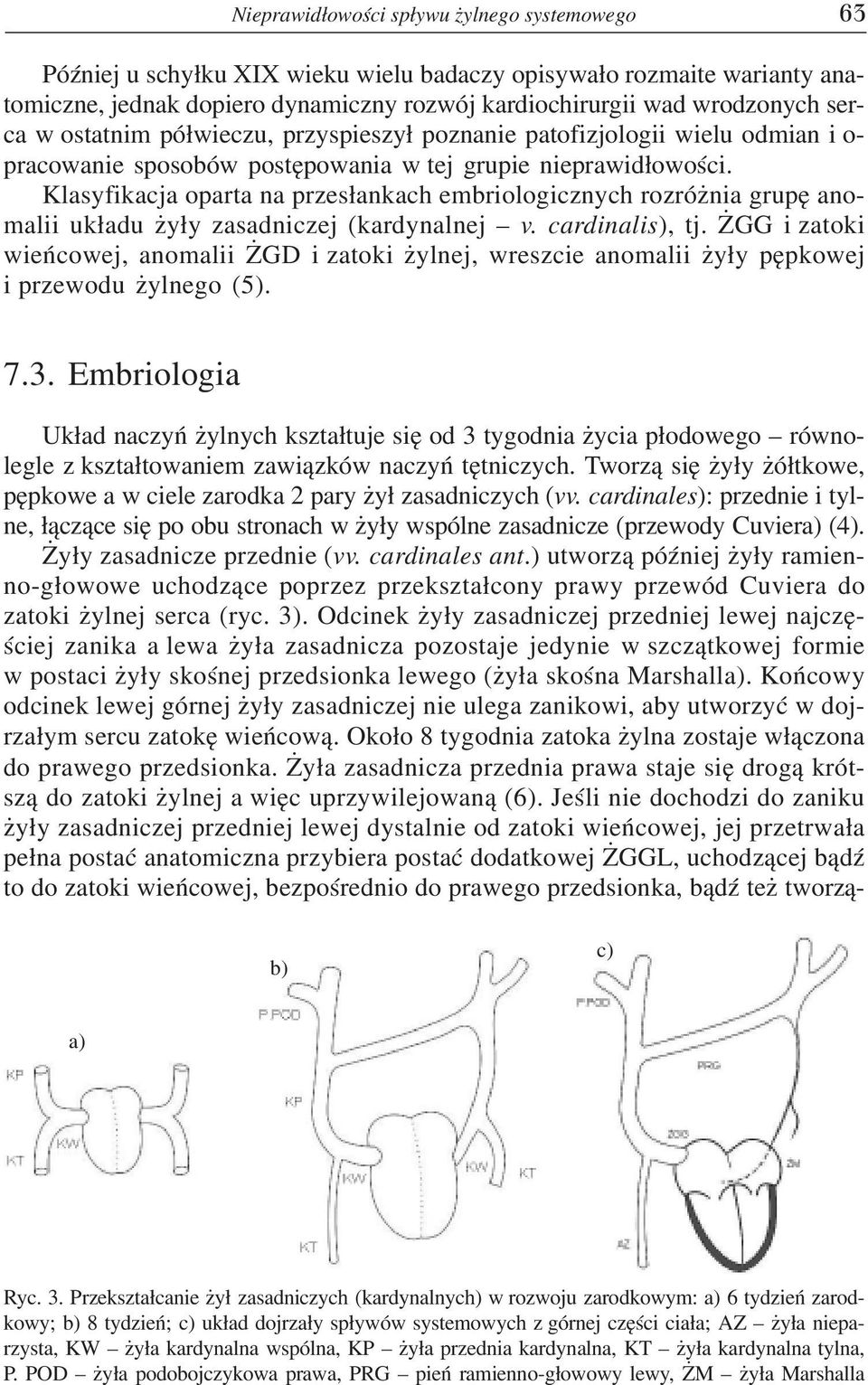 Klasyfikacja oparta na przes³ankach embriologicznych rozró nia grupê anomalii uk³adu y³y zasadniczej (kardynalnej v. cardinalis), tj.