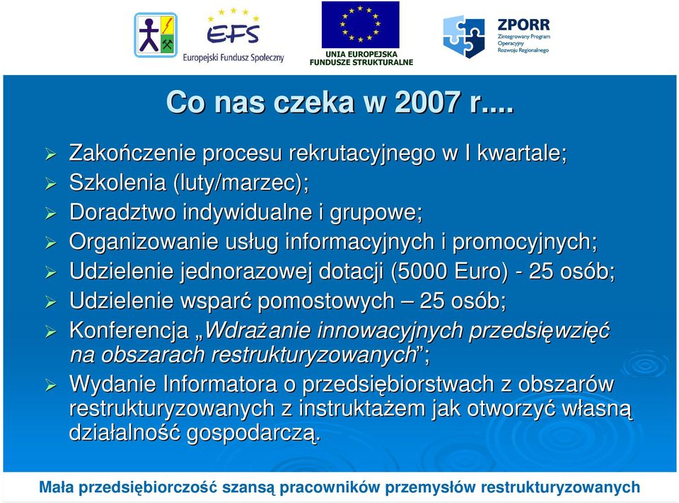 Organizowanie usług informacyjnych i promocyjnych; Udzielenie jednorazowej dotacji (5000 Euro) - 25 osób; Udzielenie wsparć