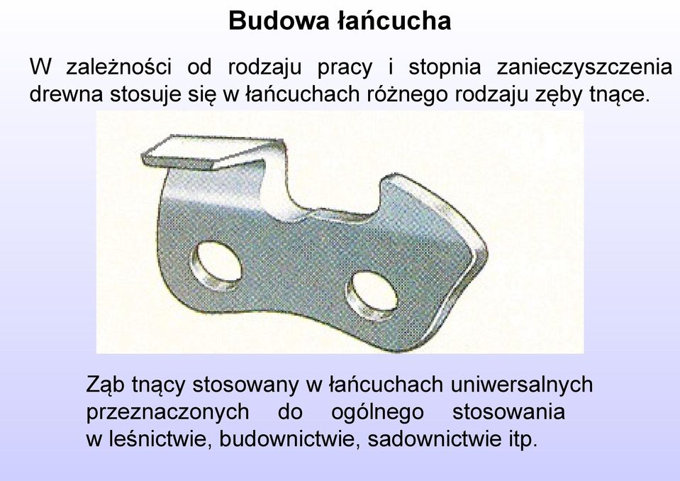 zęby tnące.