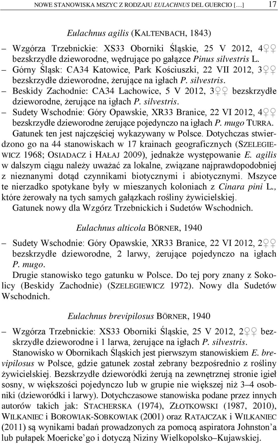 silvestris. Sudety Wschodnie: Góry Opawskie, XR33 Branice, 22 VI 2012, 4 bezskrzydłe dzieworodne żerujące pojedynczo na igłach P. mugo TURRA. Gatunek ten jest najczęściej wykazywany w Polsce.
