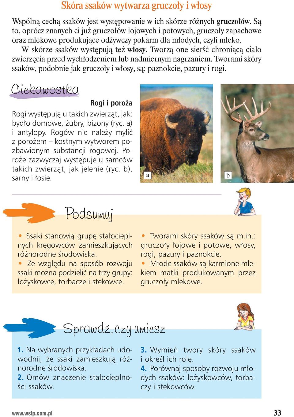 Tworz one sier chroni c cia o zwierz cia przed wych odzeniem lub nadmiernym nagrzaniem. Tworami skóry ssaków, podobnie jak gruczo y i w osy, s : paznokcie, pazury i rogi.