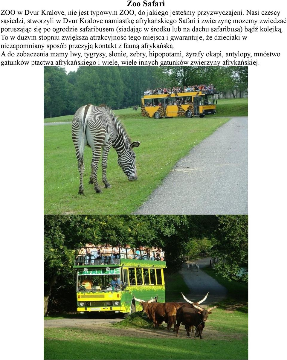 (siadając w środku lub na dachu safaribusa) bądź kolejką.