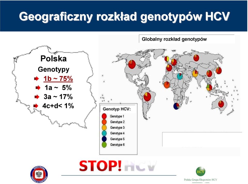 Polska Genotypy 1b ~ 75% 1a ~ 5%