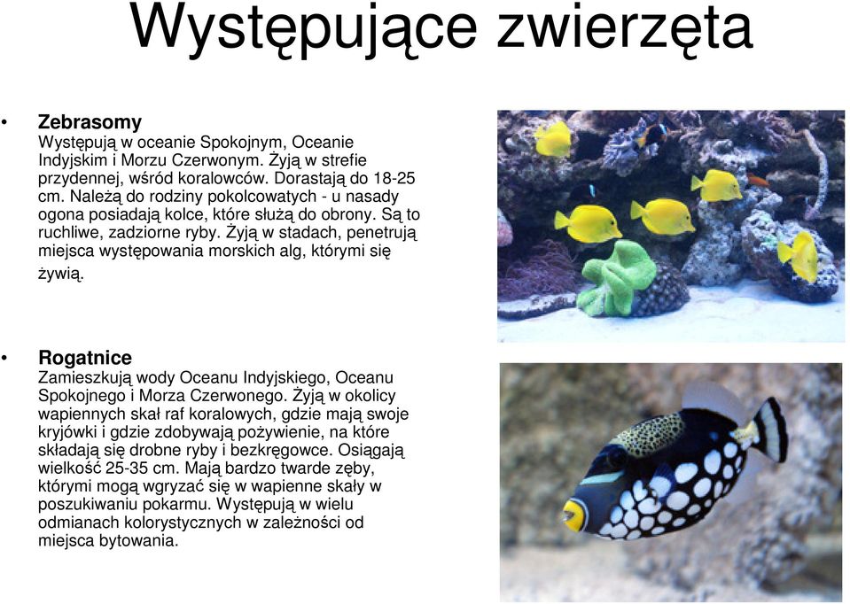 Rogatnice Zamieszkują wody Oceanu Indyjskiego, Oceanu Spokojnego i Morza Czerwonego.