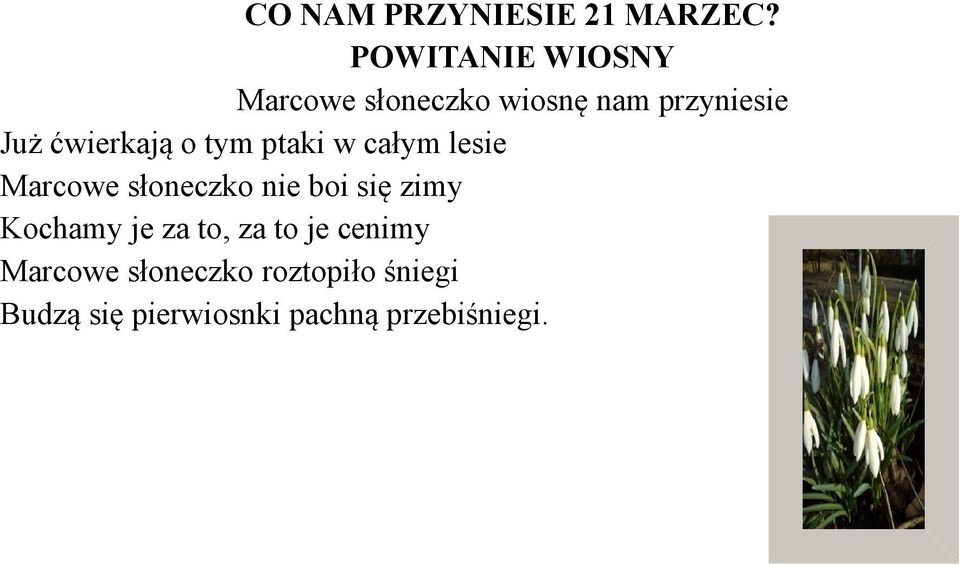 ćwierkają o tym ptaki w całym lesie Marcowe słoneczko nie boi się
