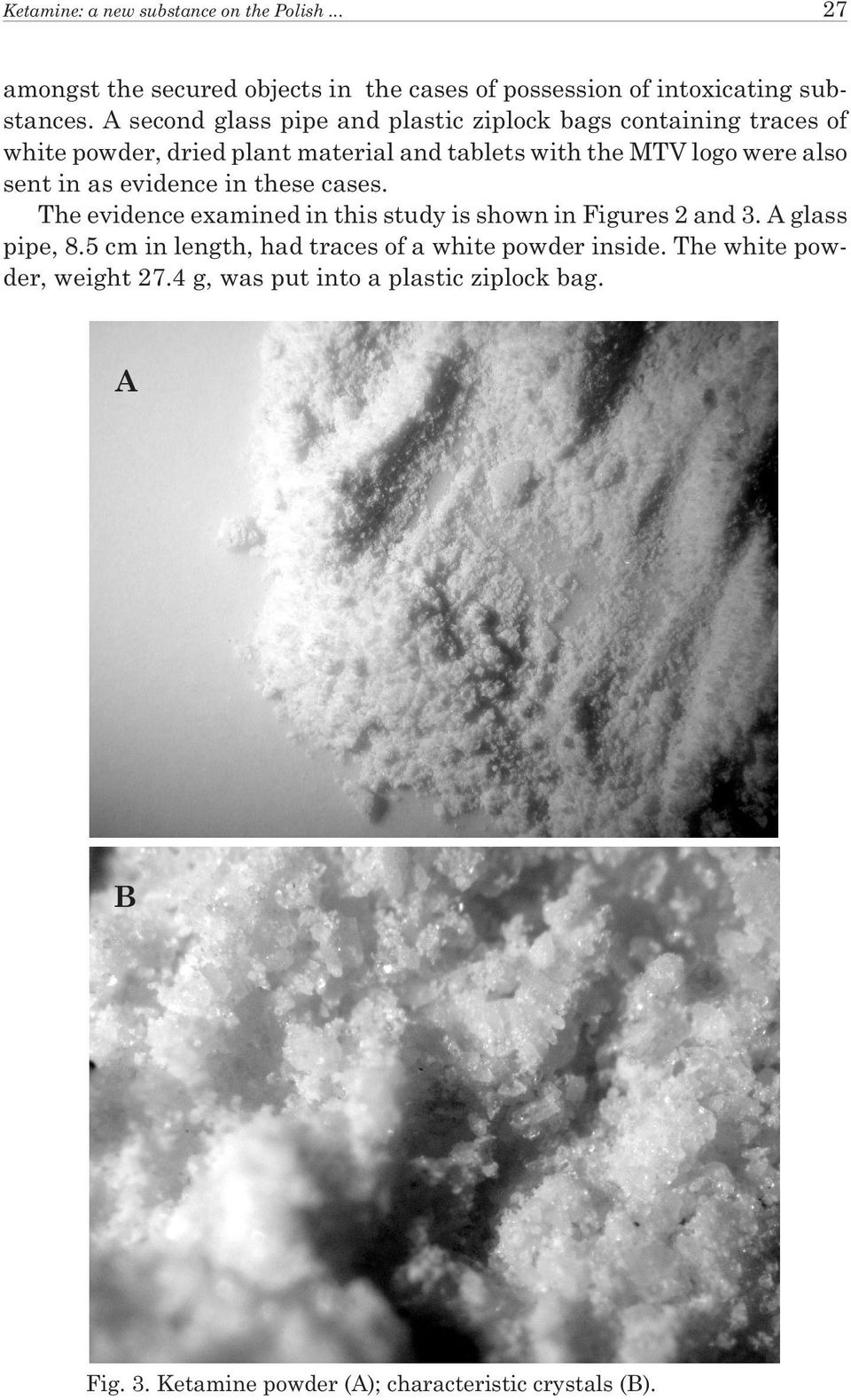 sent in as evidence in these cases. The evidence examined in this study is shown in Figures 2 and 3. A glass pipe, 8.