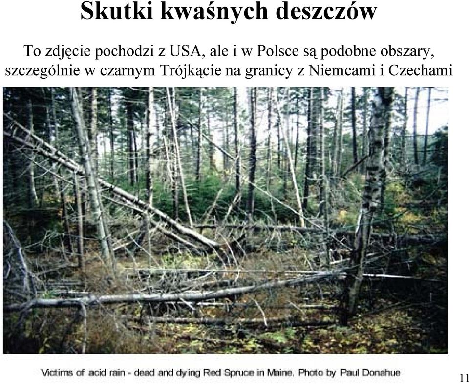 podobne obszary, szczególnie w czarnym
