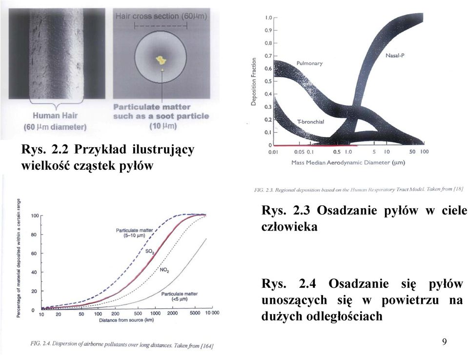 pyłów 3 Osadzanie pyłów w ciele człowieka 4