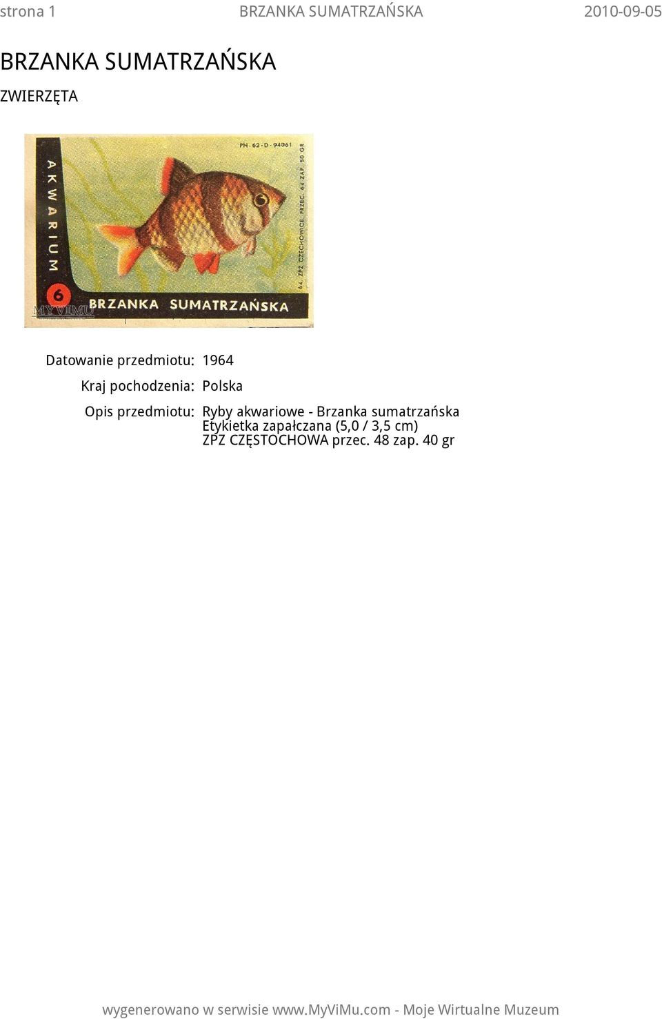 przedmiotu: Ryby akwariowe - Brzanka sumatrzańska