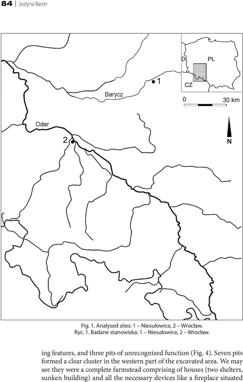 Seven pits formed a clear cluster in the western part of the excavated area.