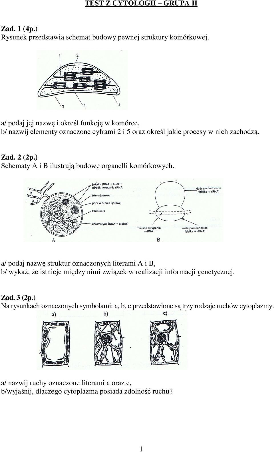 ) Schematy A i B ilustrują budowę organelli komórkowych.