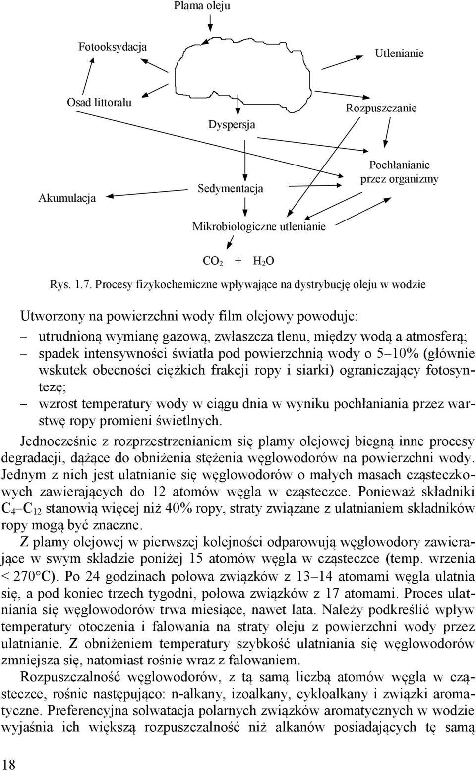 intensywności światła pod powierzchnią wody o 5 10% (głównie wskutek obecności ciężkich frakcji ropy i siarki) ograniczający fotosyntezę; wzrost temperatury wody w ciągu dnia w wyniku pochłaniania