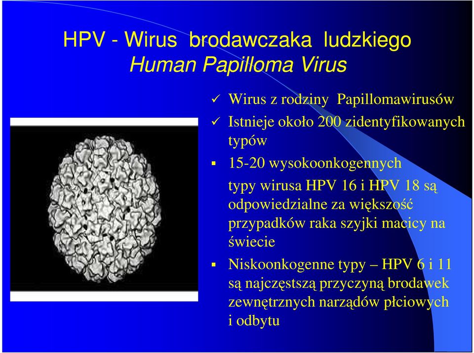 HPV 18 są odpowiedzialne za większość przypadków raka szyjki macicy na świecie