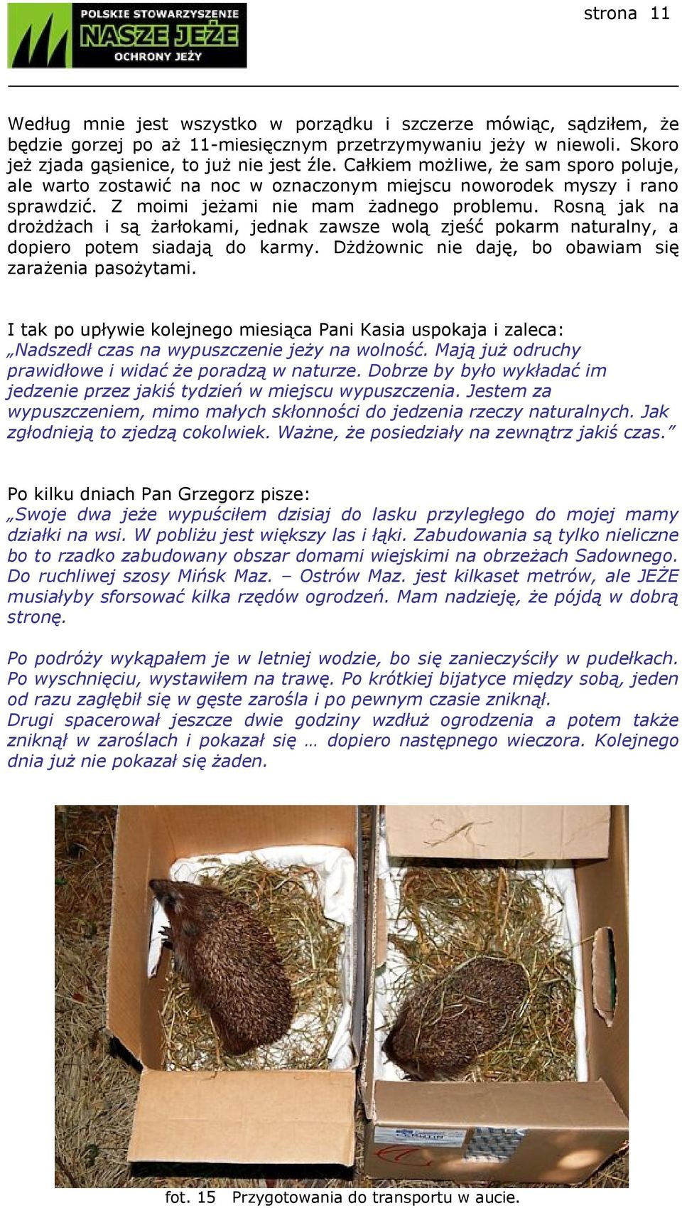 Rosną jak na drożdżach i są żarłokami, jednak zawsze wolą zjeść pokarm naturalny, a dopiero potem siadają do karmy. Dżdżownic nie daję, bo obawiam się zarażenia pasożytami.