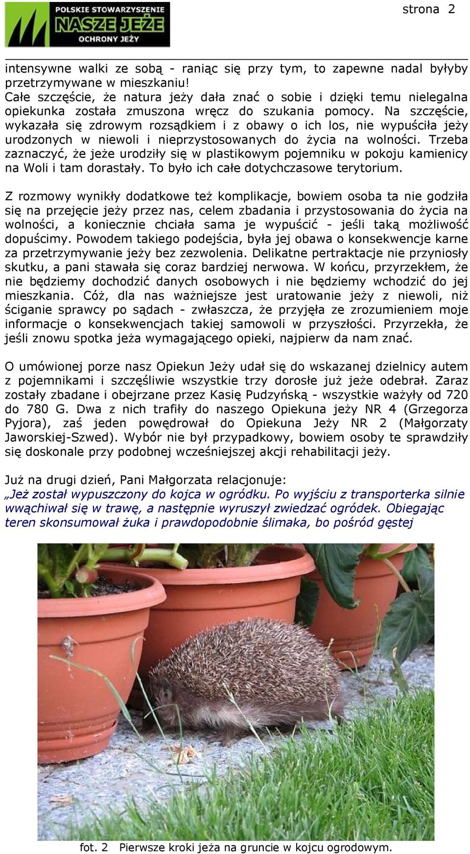 Na szczęście, wykazała się zdrowym rozsądkiem i z obawy o ich los, nie wypuściła jeży urodzonych w niewoli i nieprzystosowanych do życia na wolności.