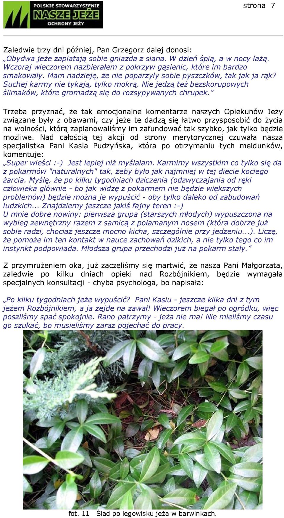 Nie jedzą też bezskorupowych ślimaków, które gromadzą się do rozsypywanych chrupek.