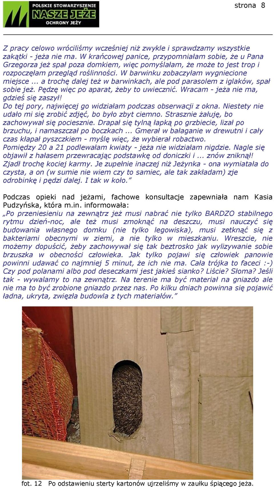 .. a trochę dalej też w barwinkach, ale pod parasolem z iglaków, spał sobie jeż. Pędzę więc po aparat, żeby to uwiecznić. Wracam - jeża nie ma, gdzieś się zaszył!