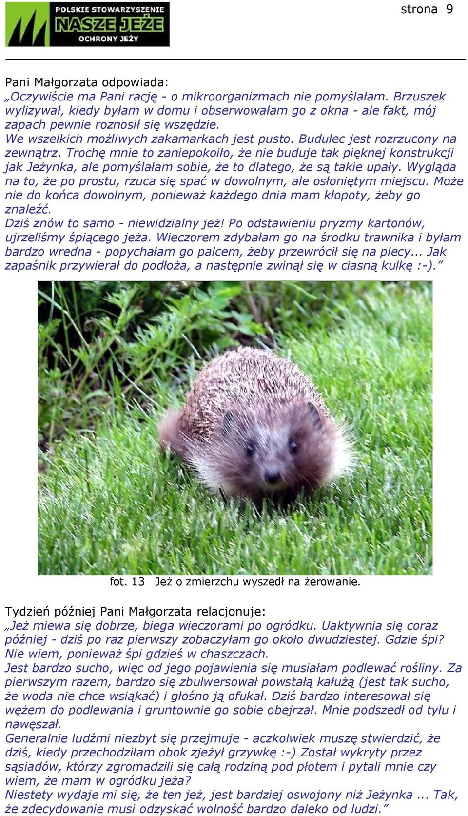 Trochę mnie to zaniepokoiło, że nie buduje tak pięknej konstrukcji jak Jeżynka, ale pomyślałam sobie, że to dlatego, że są takie upały.